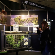 Vertical modular gardening systems or green walls