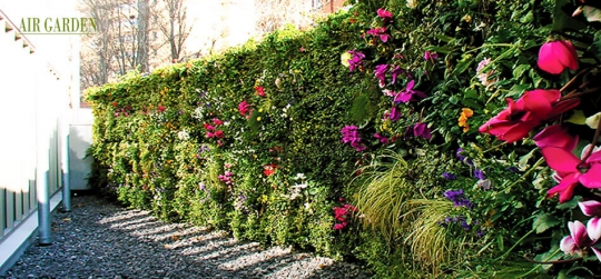 Safe and resistant vertical garden
