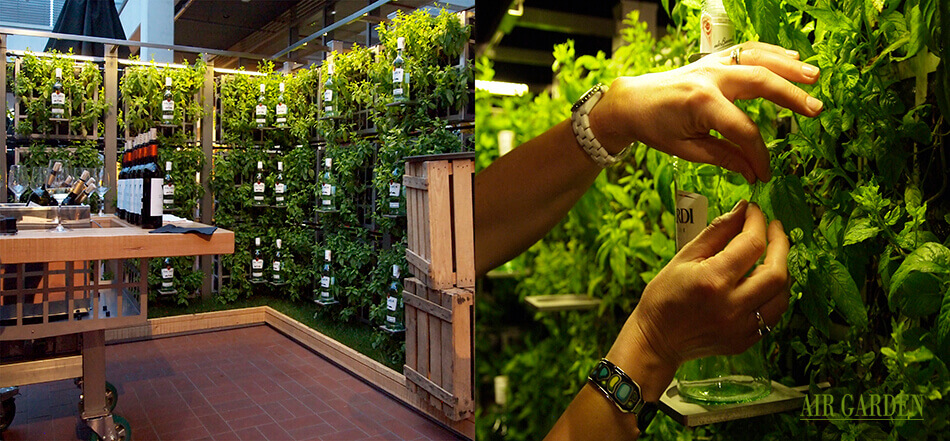 Sistema innovador de jardines verticales, huertos urbanos y sistemas de goteo, muy decorativo.