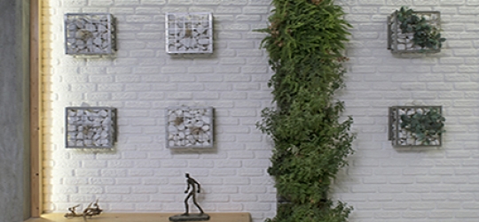 Vertical gardens a decorative option for your home