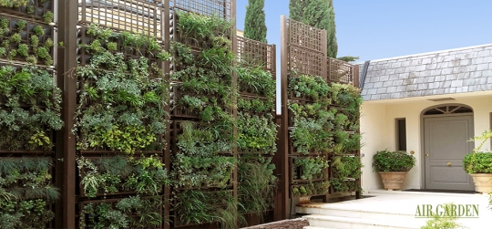 Incorpora un jardin vertical o techo verde a tu negocio